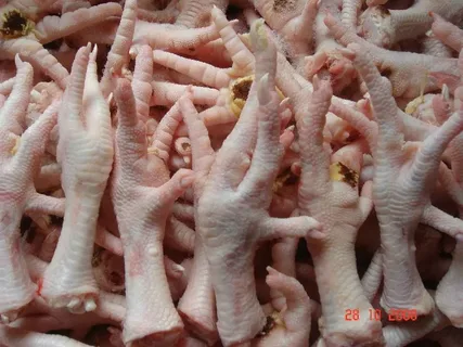 تصویر 3 از قیمت مناسب پای مرغ بسته ای + فروش ویژه